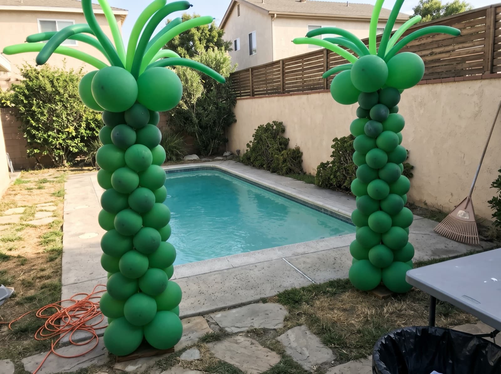 Two balloon palm trees framing a backyard pool